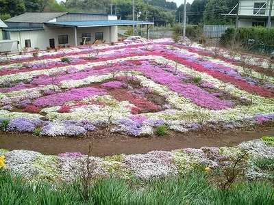 Ohtawara - Photo 4
