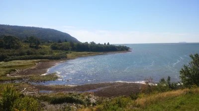 Advocate Harbour - Photo 3