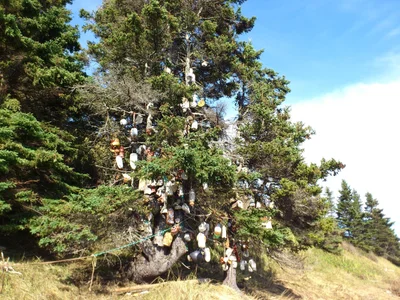 Advocate Harbour - Photo 5