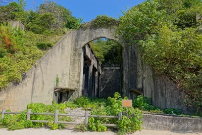 Usagi Shima (Rabbit Island) - Photo 2