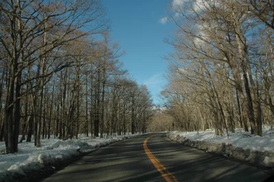 Japan Romantic Highway - Photo 4