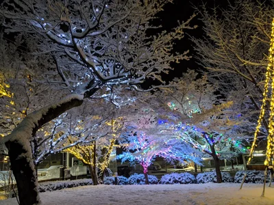 Yamanouchi - Photo 4