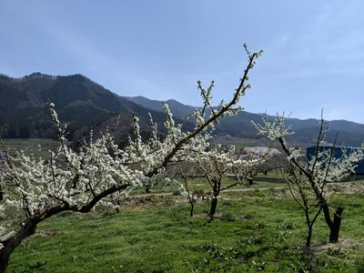 Yamanouchi - Photo 5