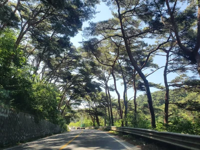 Jeongdang-ri - Photo 2