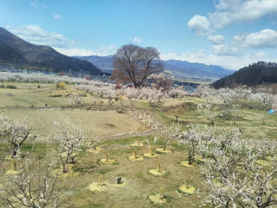 Chikuma - Photo 2