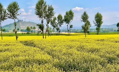 Huangzhong - Photo 5
