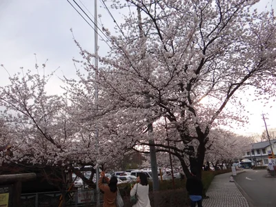 Komoro - Photo 4
