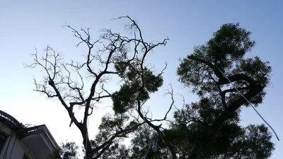 Deqing - Photo 4