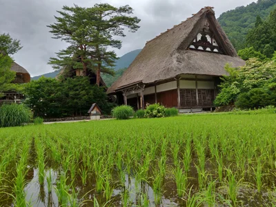 Shirakawa - Photo 2