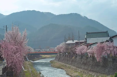 Hida - Photo 2