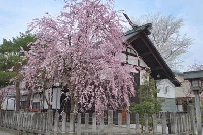 Hida - Photo 3