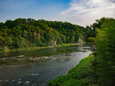 Yorii Town - Photo 3