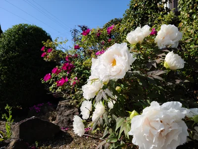 Shiojiri - Photo 2
