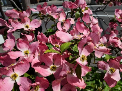 Shiojiri - Photo 4