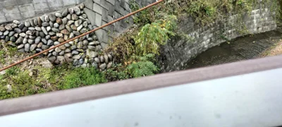 Minano - Photo 4