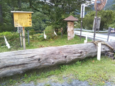 Shimosuwa - Photo 3