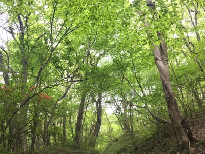 Higashi-Chichibu - Photo 3