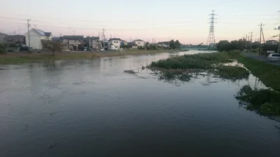 Sugito - Photo 4