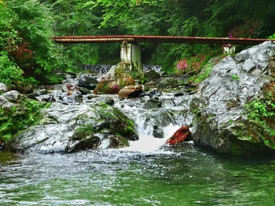 Tokigawa - Photo 2