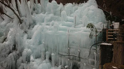 Ogano - Photo 5