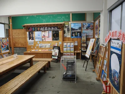Ono - Photo 2