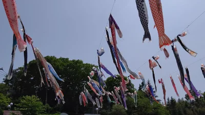 Yokoze - Photo 2