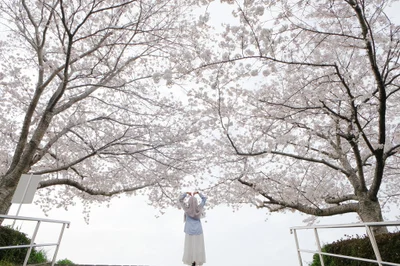 Tatsuno - Photo 3