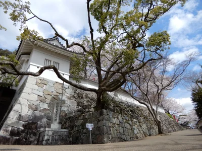 Tatsuno - Photo 4