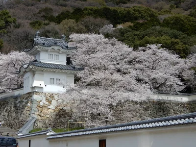 Tatsuno - Photo 5