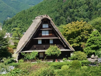 Gero - Photo 4