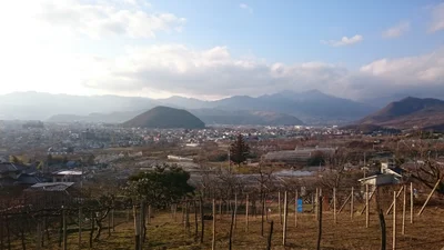 Koshu - Photo 3