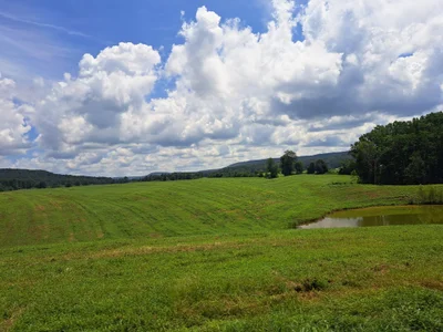 Van Buren County - Photo 2