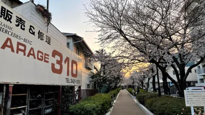 Setagaya - Photo 2
