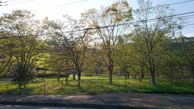 Uenohara - Photo 3