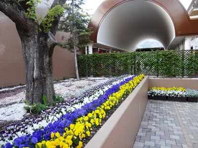 Uenohara - Photo 5