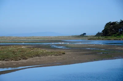 Moss Landing - Photo 2