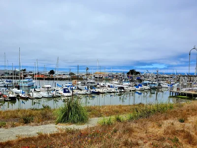 Moss Landing - Photo 4