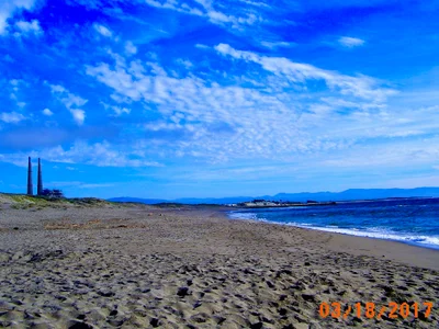 Moss Landing - Photo 5