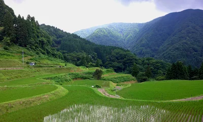 Shin-onsen - Photo 3