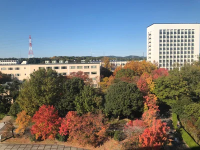 Chuo - Photo 3