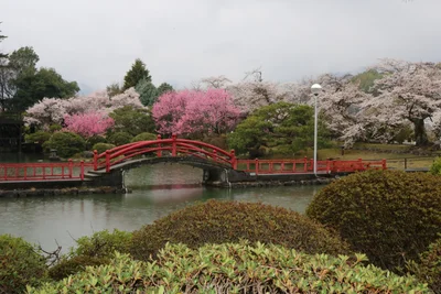Iida - Photo 3
