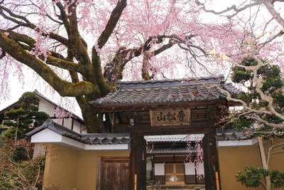 Iida - Photo 5