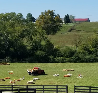 Wartrace - Photo 3
