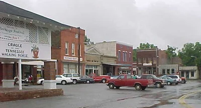 Wartrace - Photo 5