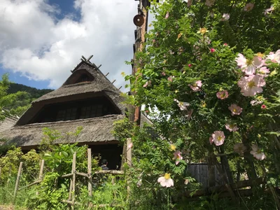 Fujikawaguchiko - Photo 2