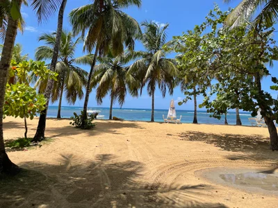 Samana Province - Photo 2