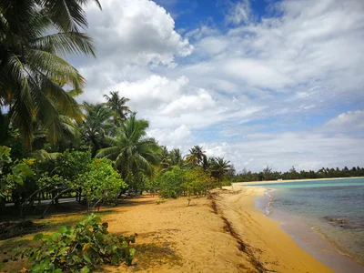 Samana Province - Photo 4