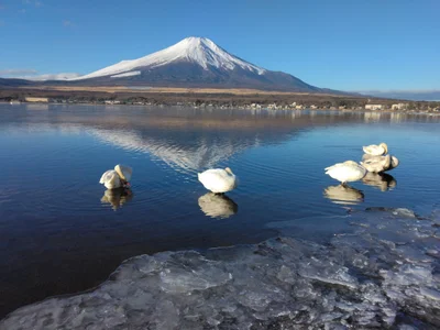 Yamanakako - Photo 2
