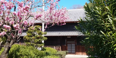 Ikeda - Photo 4