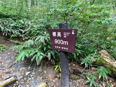 Daisen - Photo 4